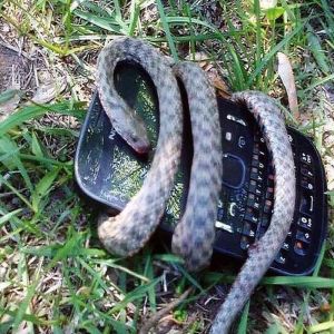 10 fotos que podem tirar qualquer pessoa da zona de conforto