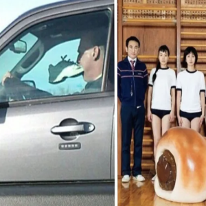 15 imagens que precisam de uma explicação urgente