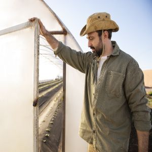 Agricultor é investigado e multado em R$ 1 milhão por cultivar fruta patenteada