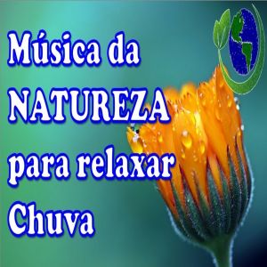 Música da natureza para relaxar - chuva