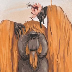 Annada N. Menon: ilustrações de animais redondos e fofinhos