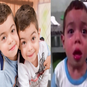 Lembra dos gêmeos da formiguinha? Após 9 anos, os meninos cresceram e estão bem diferentes hoje em dia