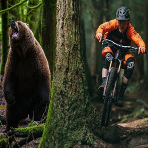 Urso persegue ciclistas em montanha na Eslováquia