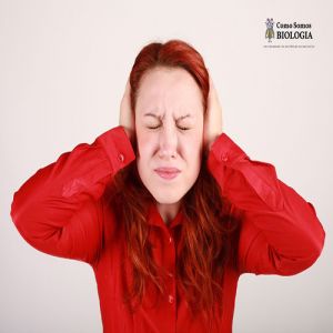 Não suporta alguns sons? Já ouvir falar em Misofonia?