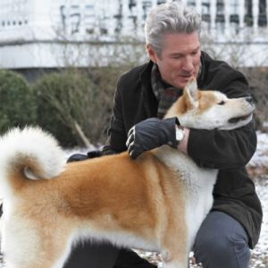 Os Cachorros Mais Famosos de Todos os Tempos