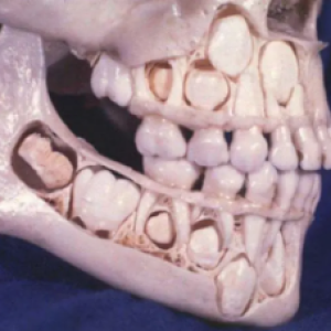 12 coisas que você nunca viu desta surpreendente perspectiva