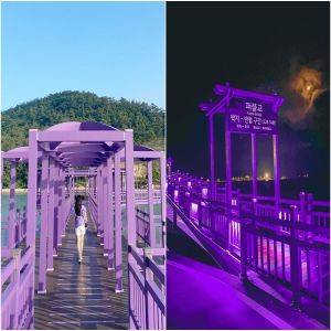 Purple Island - a mais nova atração turística na Coreia do Sul