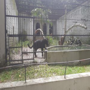 Parque Estadual Dois Irmãos