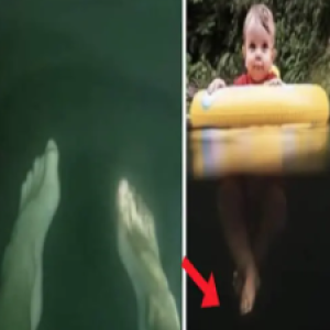 Você tem talassofobia? Se essas fotos te incomodam, provavelmente você sofre disso