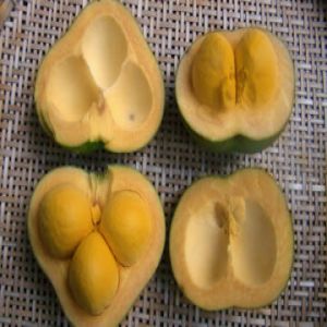 A fruta pequi é fonte de vitaminas e minerais! Conheça essa iguaria do cerrado