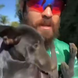 Foi andar de bike e voltou com o melhor amigo da vida! Emocionante!