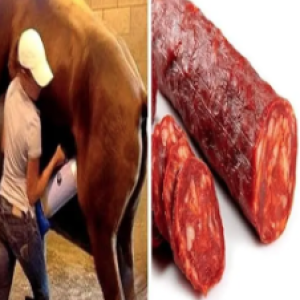 9 alimentos que você JAMAIS comeria se soubesse como são realmente feitos