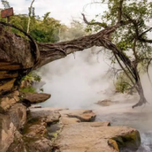 Este rio na Amazônia mata tudo que cai nele...