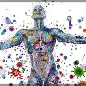 Microbioma humano: seu corpo é um ecossistema