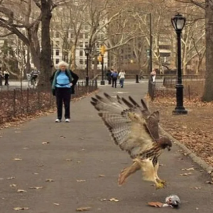 Fotos tiradas no momento certo