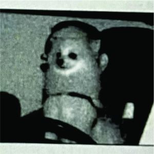 Cachorro é multado na Alemanha por dirigir em excesso de velocidade