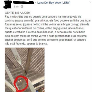 A história da cenoura no telhado