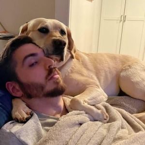 42 momentos hilários em que animais de estimação ignoraram totalmente os limites