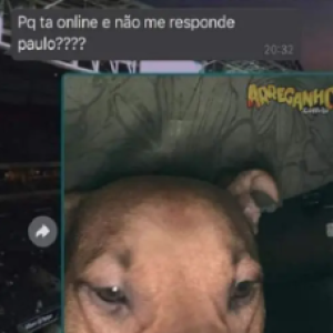 Usando o doguinho de estimação para enganar a namorada pegajosa