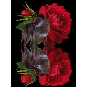 Dentro de nós existem dois lobos...Preste atenção!