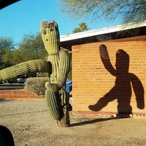 22 fotos que mostram que tudo é uma questão de ângulos