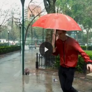 O mistério do desaparecimento na chuva