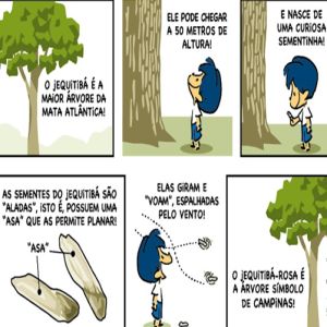 E nasce de uma curiosa