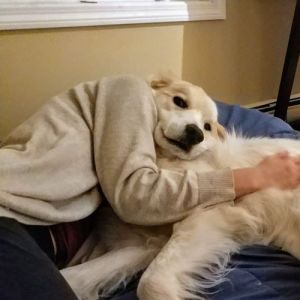 24 fotos que você precisa ver duas vezes para entender