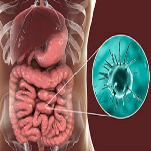  Amebíase - veja os principais sintomas dessa parasitose