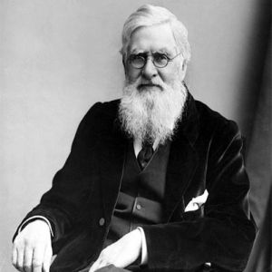 Pessoas influentes na Biologia - Alfred Russel Wallace