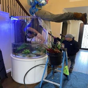 Essas pessoas não tem medo de morrer ou são apenas idiotas? #9