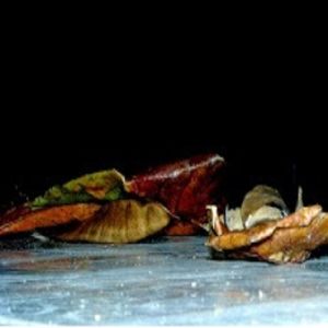 Disciplina cristã - Jejum