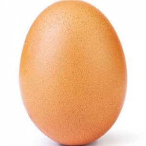 A incrível biomecânica do ovo