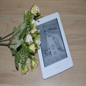 Resenha literária: Desastres Sexuais