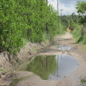 Local onde começou Pernambuco está esquecido