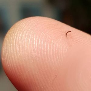 14 Fotos que mostram como é começar o dia com o pé errado