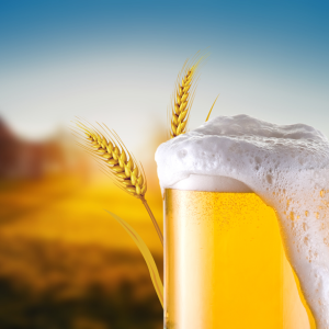 A Fascinante História da Cerveja: Uma Viagem no Tempo