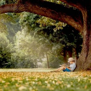 Precisamos evitar aquilo que tira a paz do coração