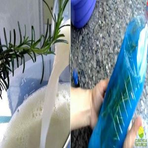 Faça o seu próprio desinfetante aromatico de alecrim