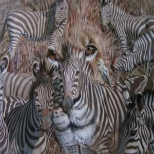 O primeiro animal que você vê na foto revela um grande segredo sobre você