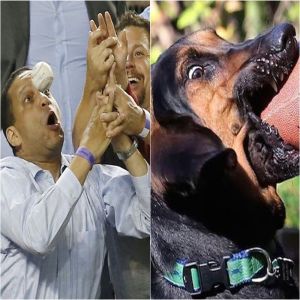 13 fotos que são tão perfeitamente cronometradas que merecem um prêmio