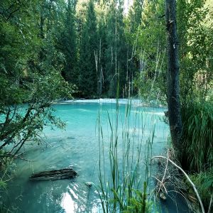 Sons da Natureza e Música para Relaxar com Pássaros e Água Corrente ???? FULL HD