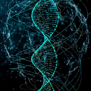 Qual é a receita da vida?