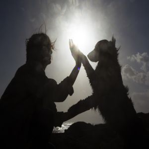 Como lidar com o luto animal 