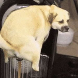  Deve estar quentinho