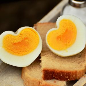 Algumas curiosidades sobre a dieta do ovo