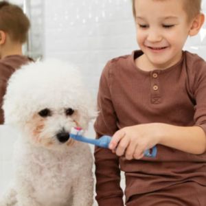 Saúde Dental de Cães e Gatos: Cuidados Essenciais Para manter Um Sorriso Radiante