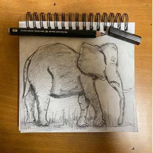 Aprendendo a desenhar na quarentena