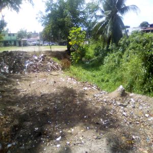 Mato no canal e muito lixo