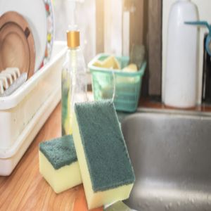 Colocar uma esponja com sal dentro da geladeira faz toda a diferença